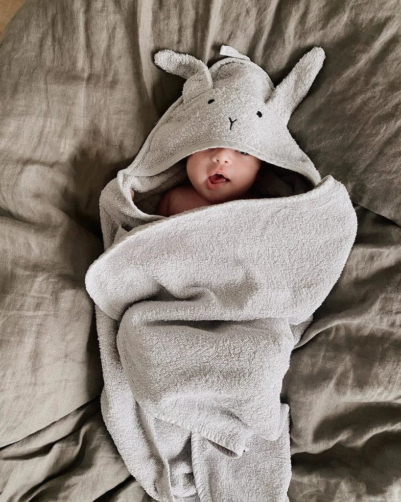 Liewood Bathing Suit Albert