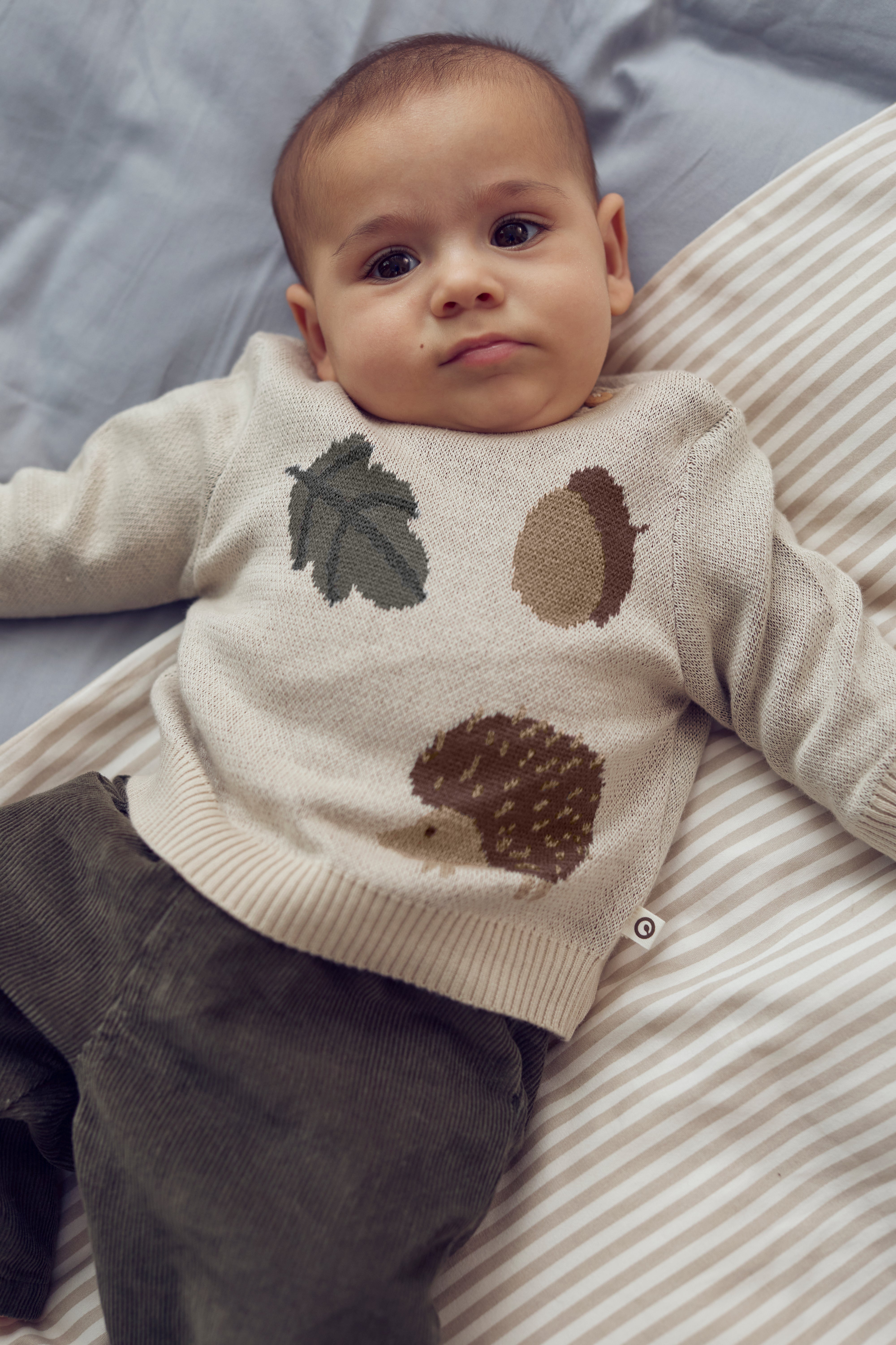 Müsli Strik Acorn