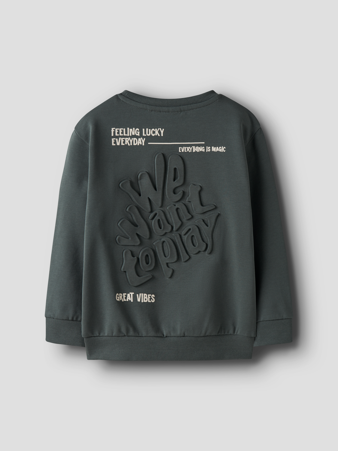 Name It Sweatshirt Benja