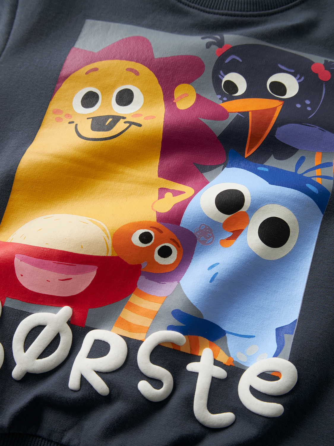 Name It Sweatshirt Aban Børste