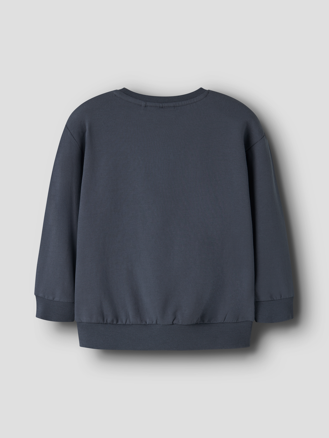 Name It Sweatshirt Aban Børste