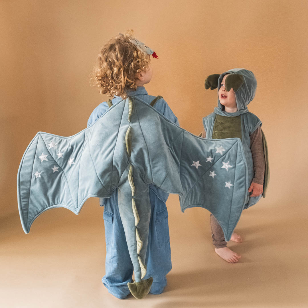 That's Mine Costume Wilmer Dragon Set