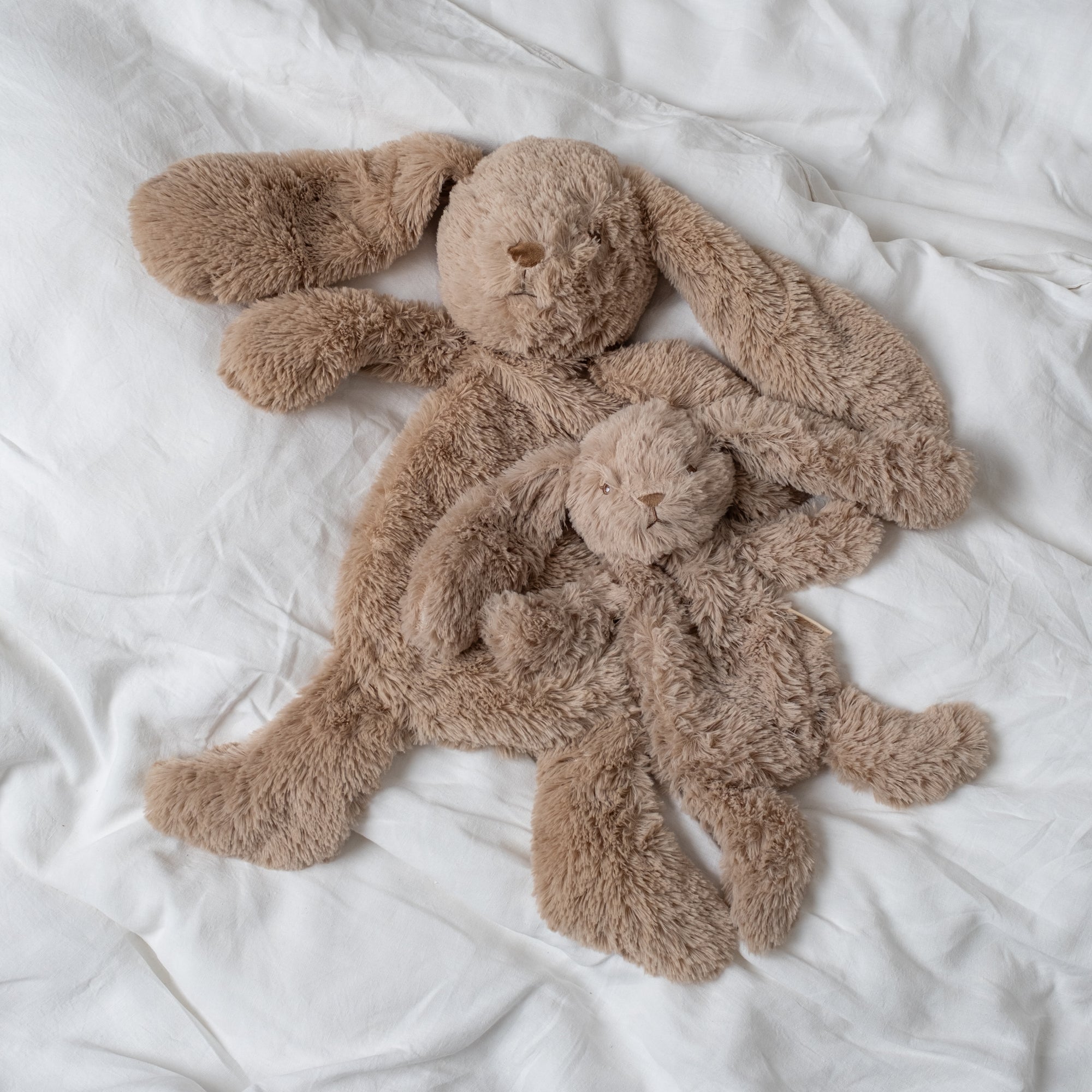 That's Mine Teddy Bear Houston L