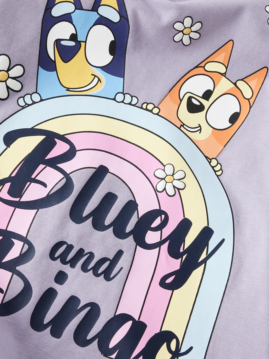 Name It Blue Jessie Bluey