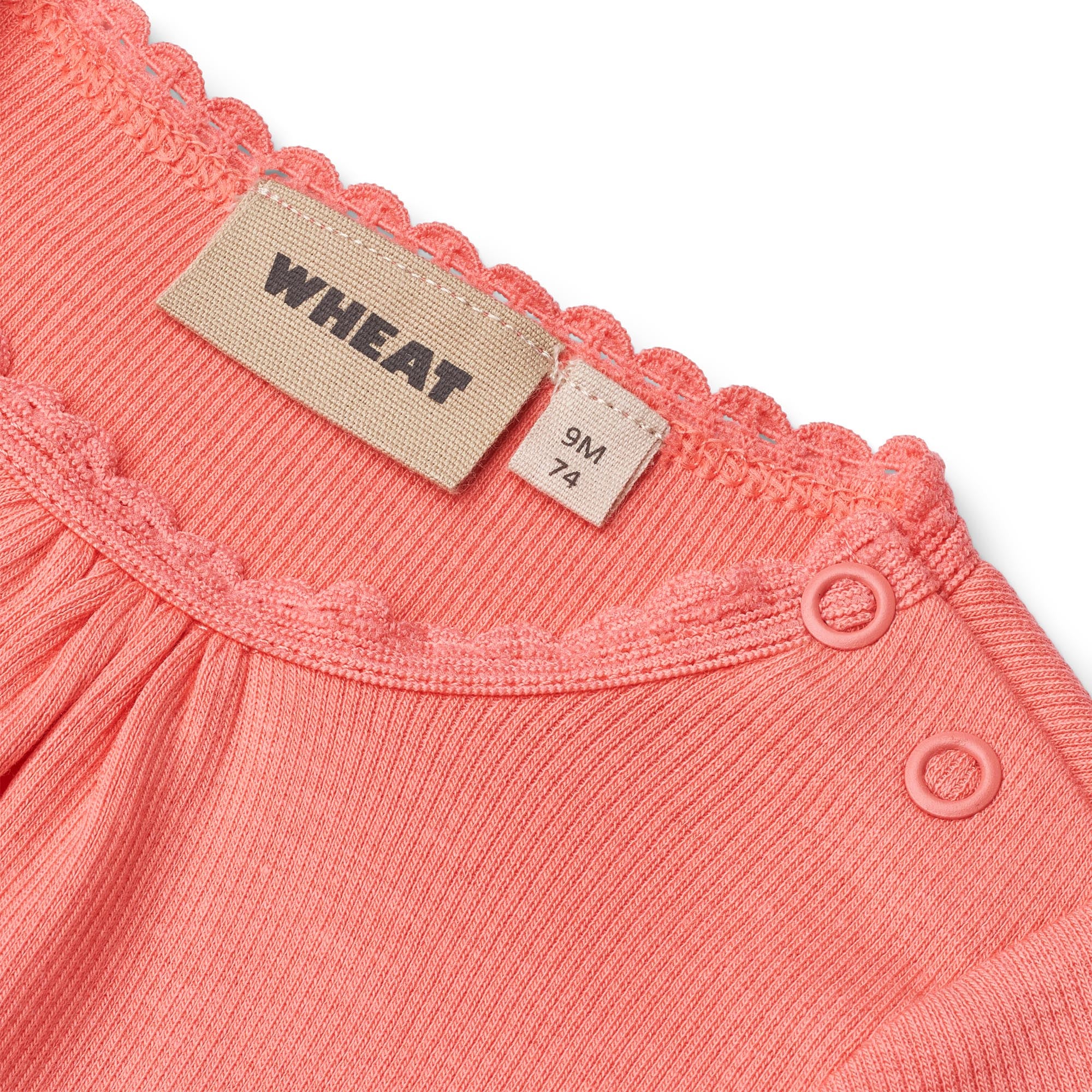 Wheat Body Rib Lotta