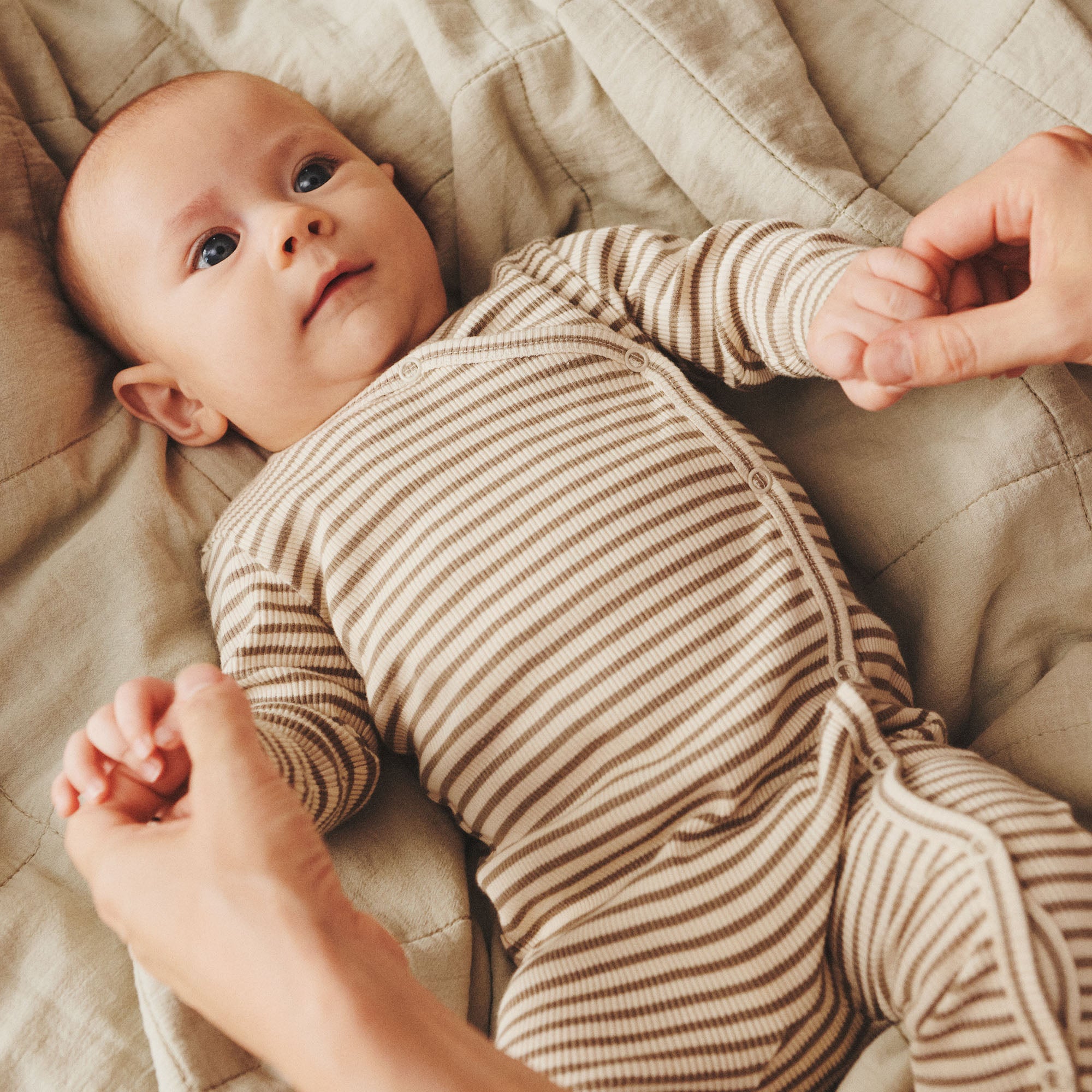 Wheat Heldragt Everest