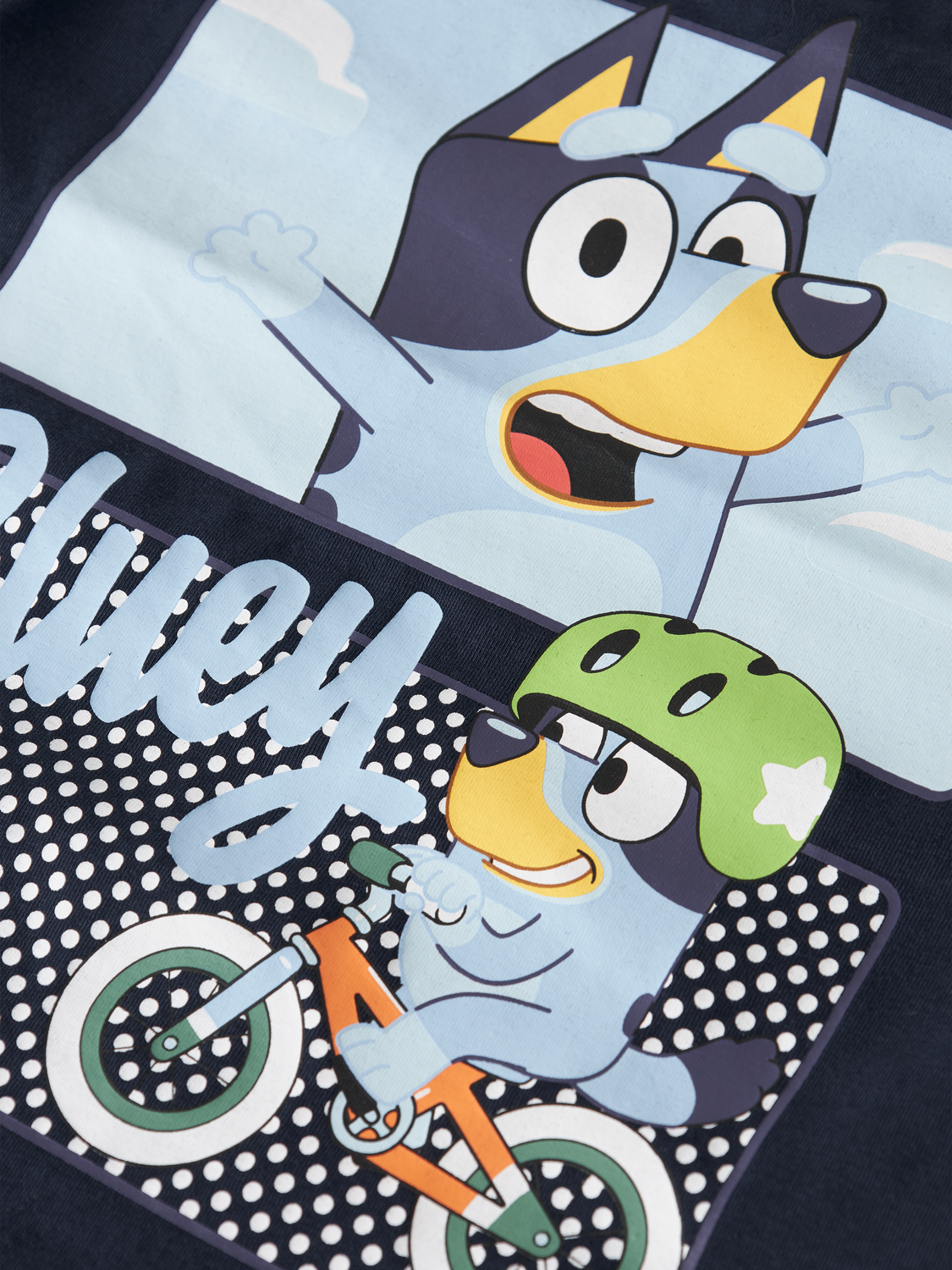 Name It T-shirt Malih Bluey