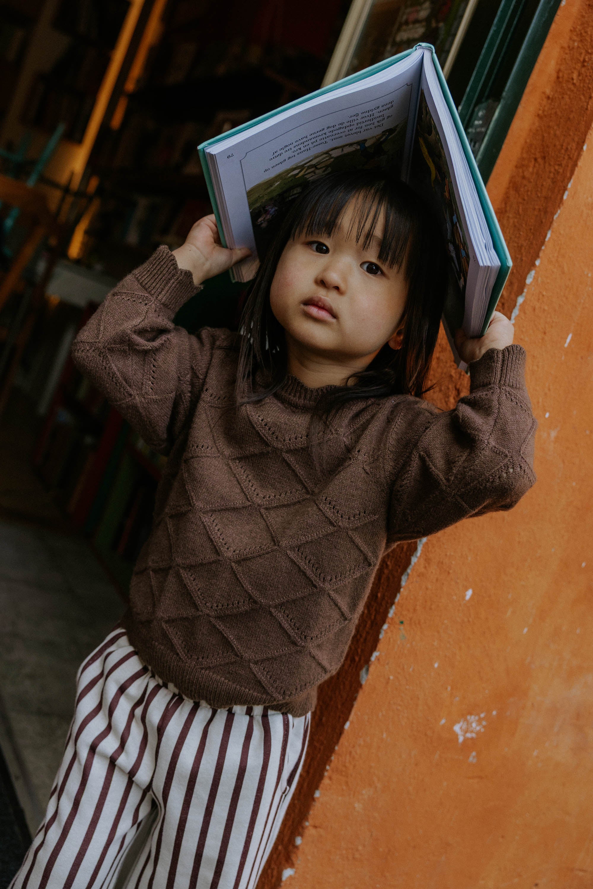 Fliink Pullover Emily