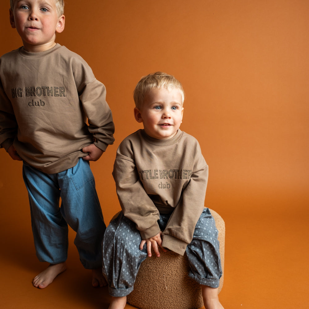 That's Mine Sweatshirt Finley Big Brother