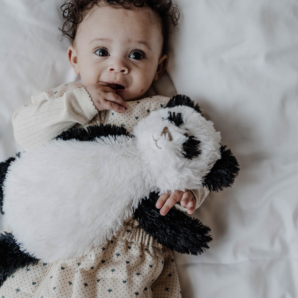 That's Mine Teddy Bear Houston S