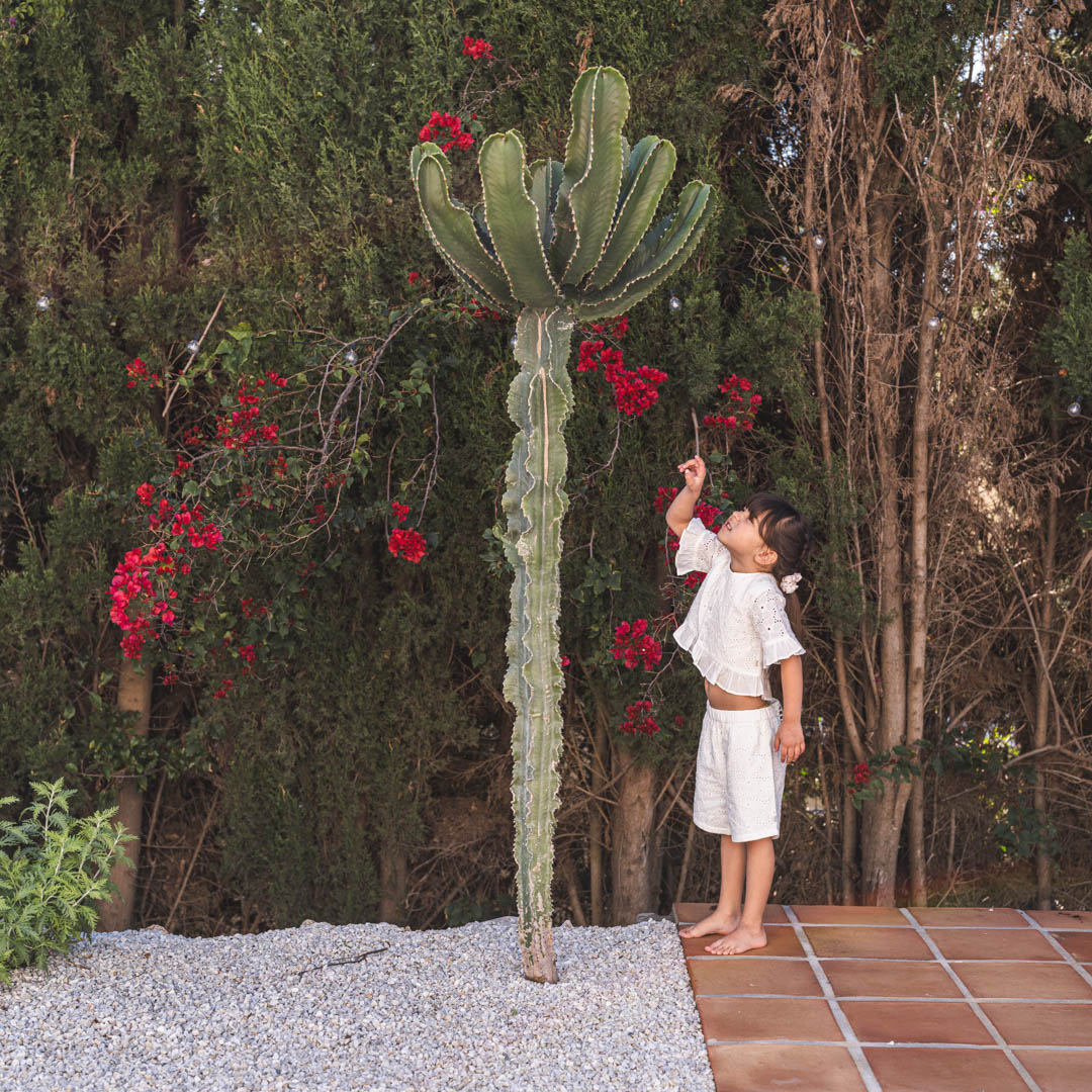 That's Mine Shorts Iris