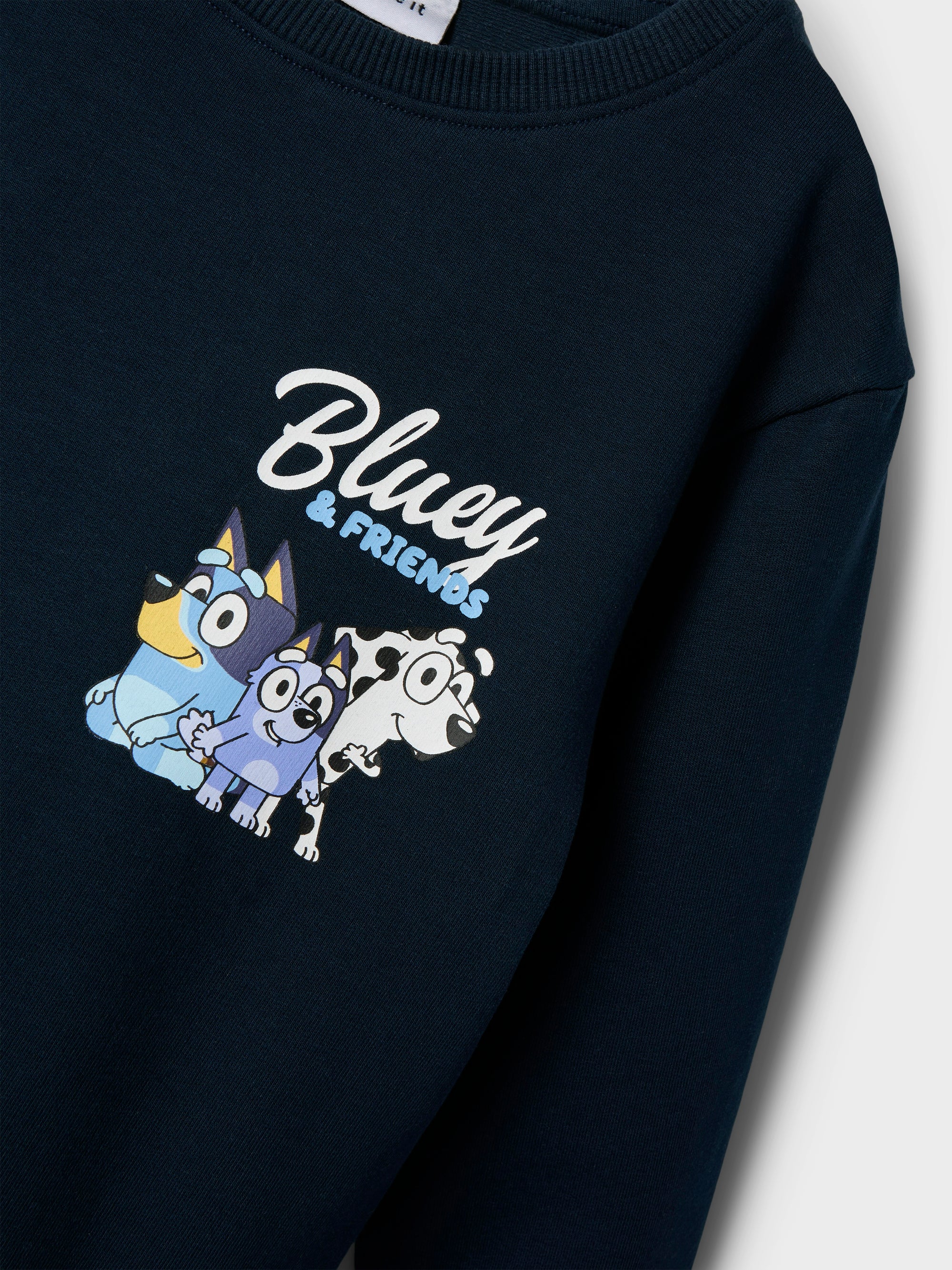 Name it Sweatshirt Frist Bluey