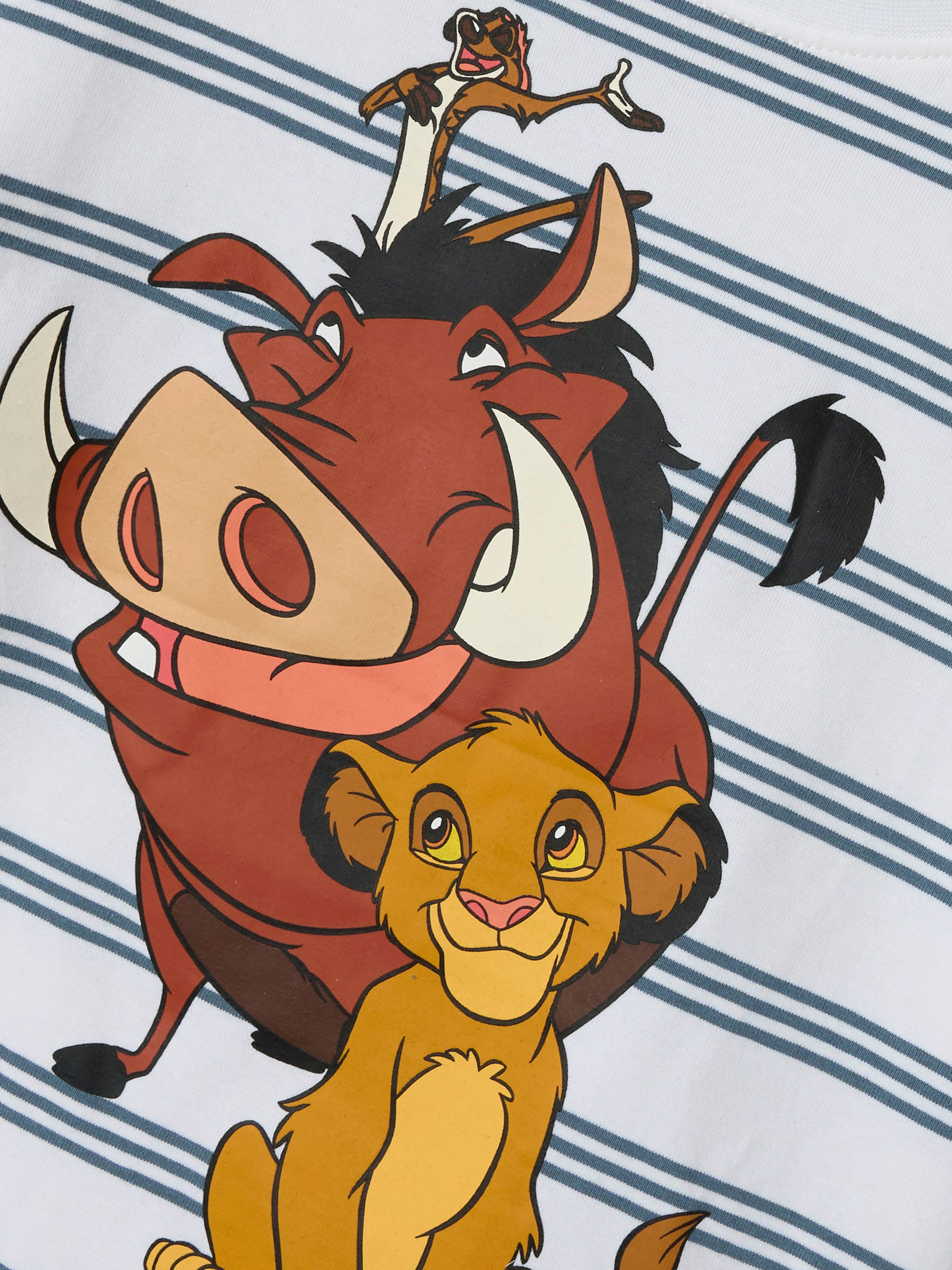 Name it T-shirt Audo Lionking