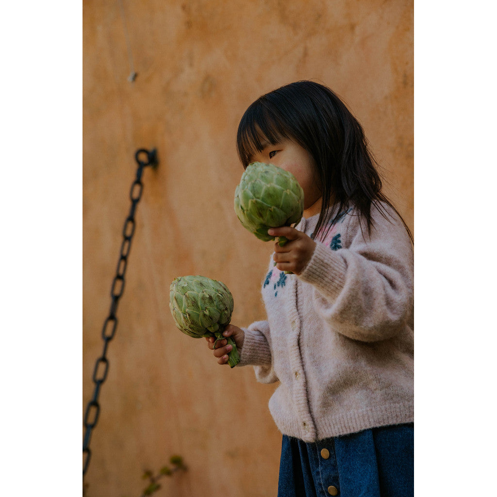 Fliink Cardigan Star