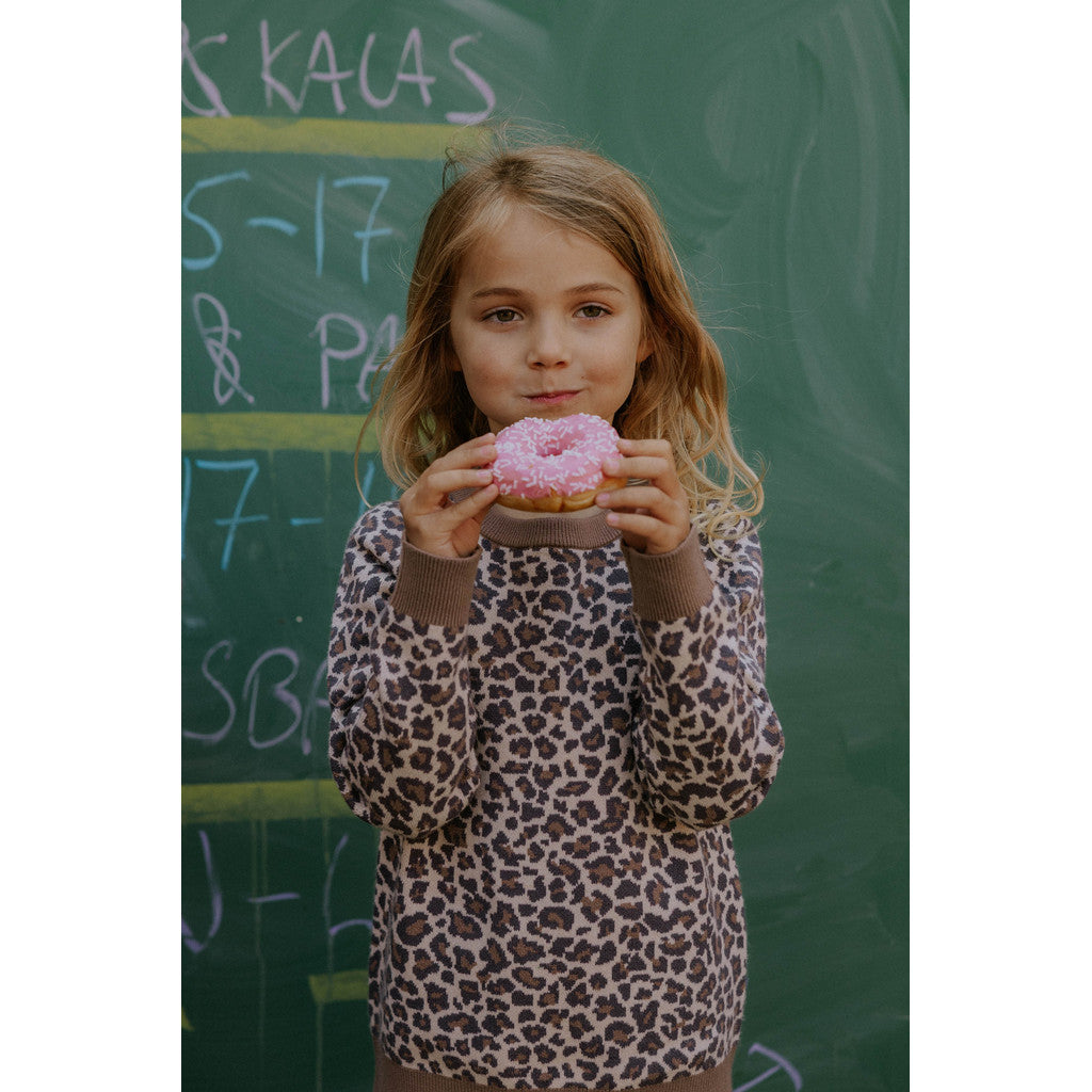 Fliink Pullover Benna Leo