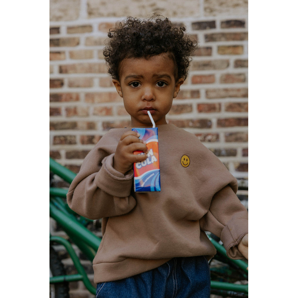 Fliink Pullover Alvin