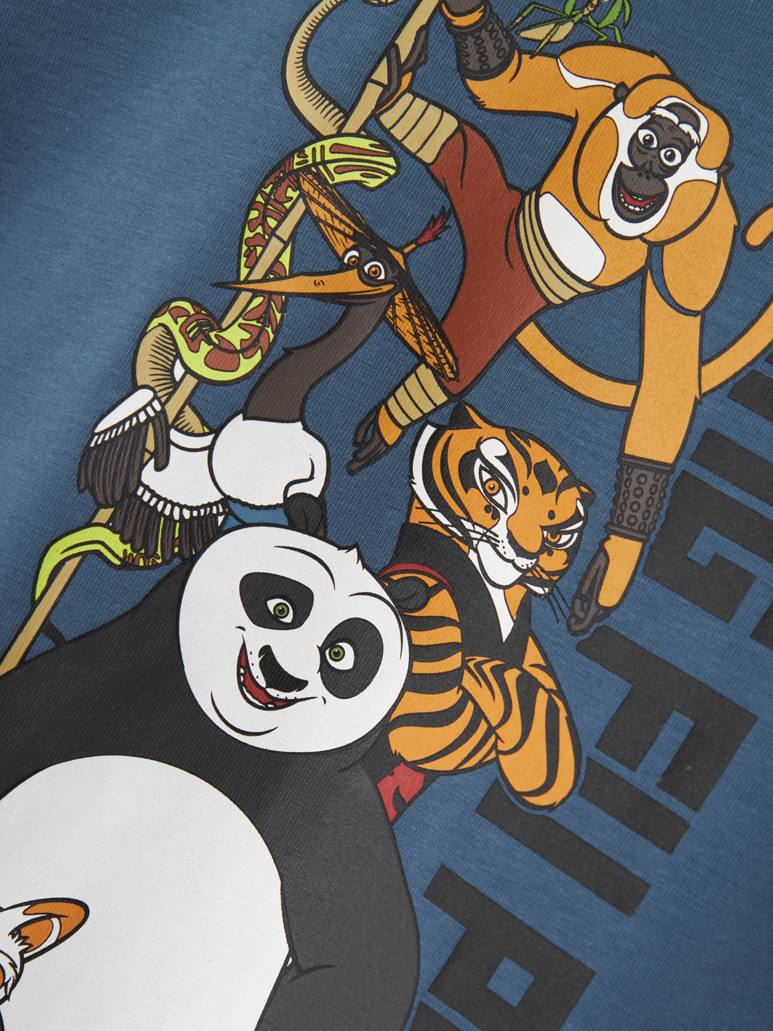 Name it T-shirt Jac Kung Fu Panda