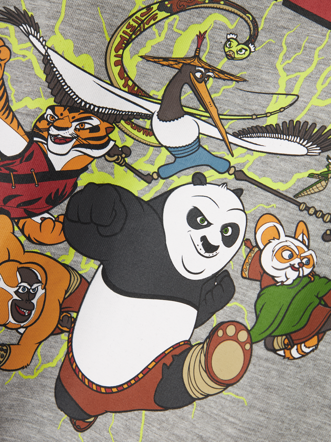 Name it T-shirt Jac Kung Fu Panda