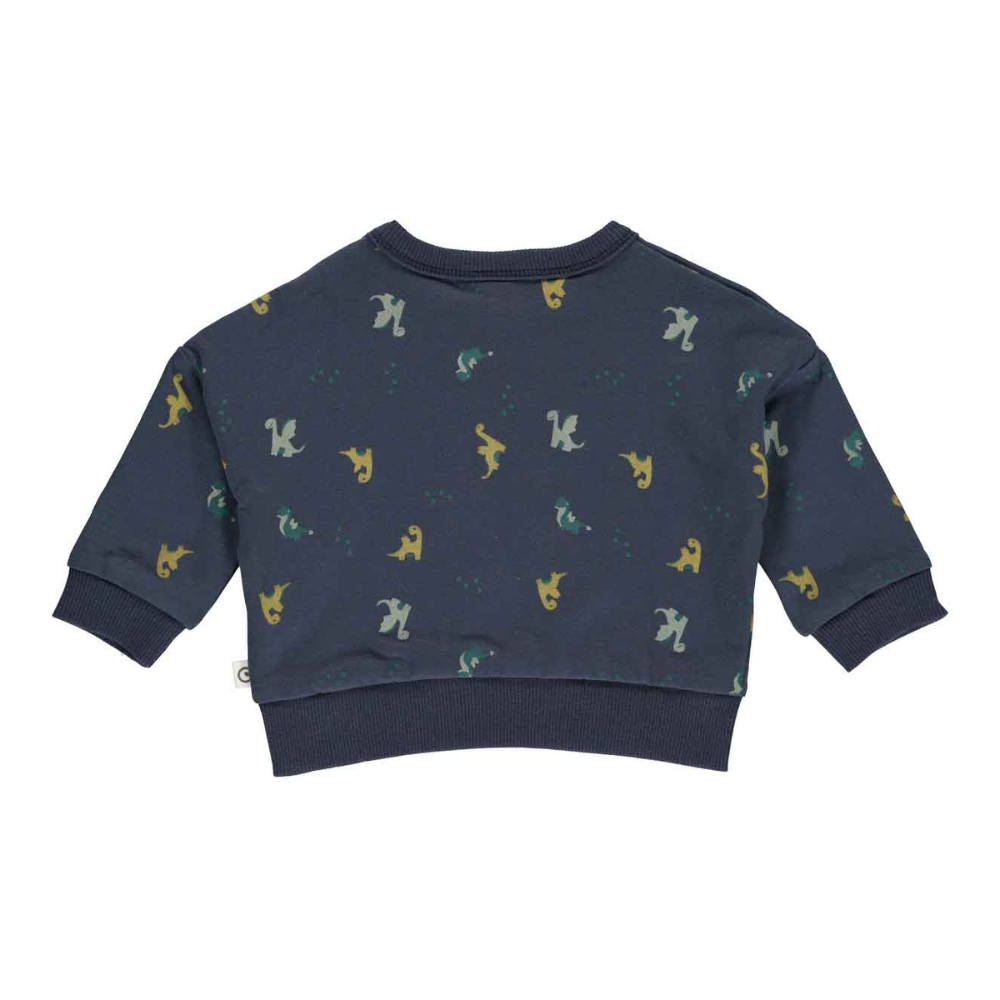 Müsli Sweatshirt Dragon